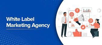 professional-seo-analysis-services-for-expanding-agencies-big-0