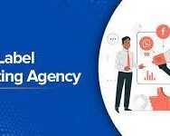 professional-seo-analysis-services-for-expanding-agencies