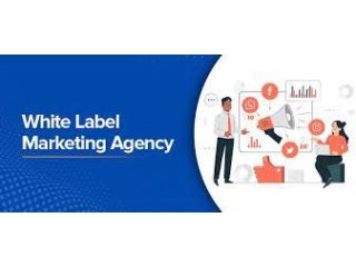 professional-seo-analysis-services-for-expanding-agencies-small-0