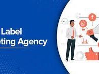professional-seo-analysis-services-for-expanding-agencies
