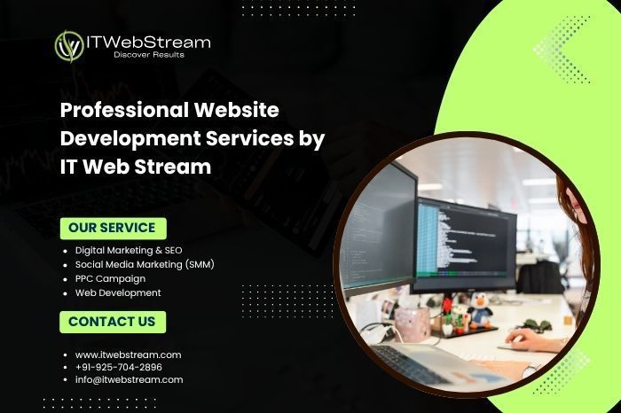 reliable-web-development-agency-india-for-business-growth-big-0