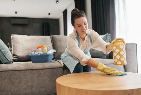 dusty-lukes-house-cleaning-hollywood-fl-home-care-big-0