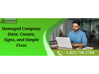 simple-steps-to-resolve-damaged-company-data-issue-small-0