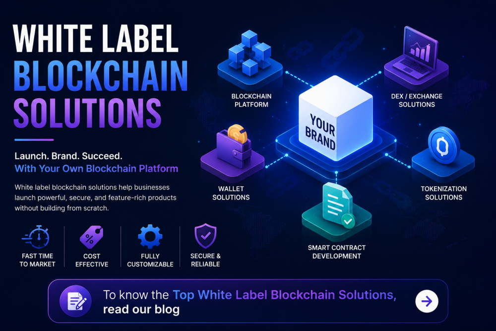 launch-your-web3-business-with-scalable-white-label-platforms-big-0