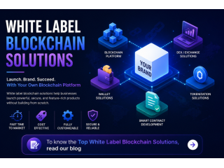 launch-your-web3-business-with-scalable-white-label-platforms-small-0