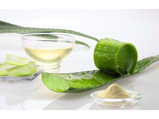 aloe-products-center-small-2