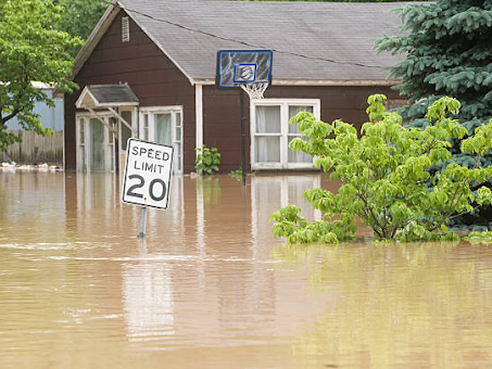 flood-insurance-companies-florida-offering-property-protection