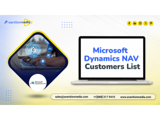 microsoft-dynamics-nav-customers-list-contact-database-small-0