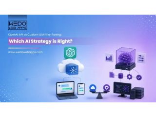 openai-api-vs-custom-llm-cost-security-guide-small-0
