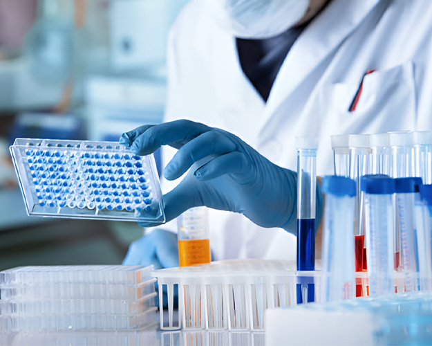 porcine-protein-elisa-kits