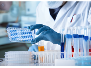 porcine-protein-elisa-kits-small-0