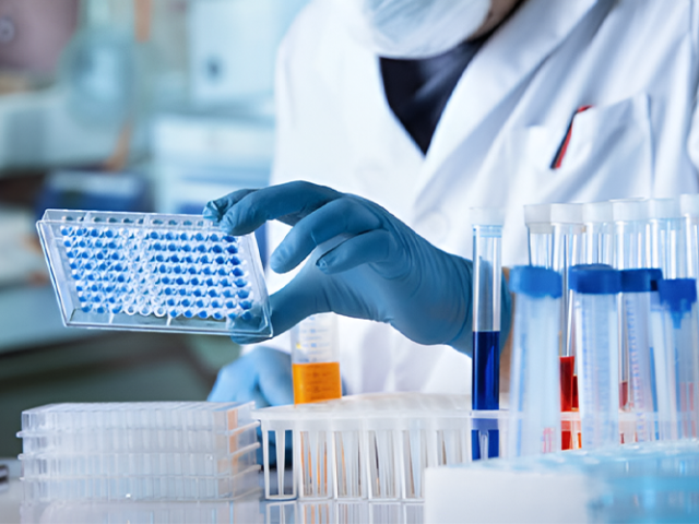 porcine-protein-elisa-kits
