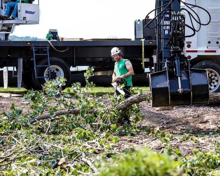 reliable-tree-care-from-a-licensed-tree-removal-company