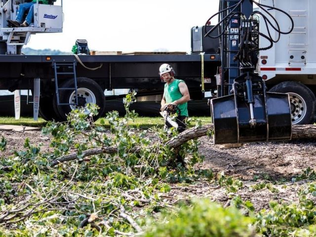 reliable-tree-care-from-a-licensed-tree-removal-company