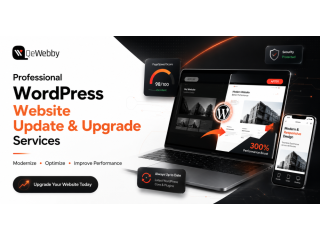 professional-wordpress-website-update-upgrade-services-small-0