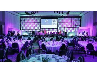 elegant-corporate-party-entertainment-near-me-options-small-0
