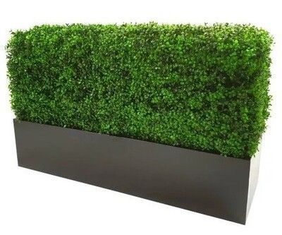 deluxe-portable-buxus-hedge-uv-resistant-150cm-long-x-150cm-high-big-0