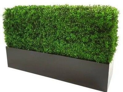 deluxe-portable-buxus-hedge-uv-resistant-150cm-long-x-150cm-high
