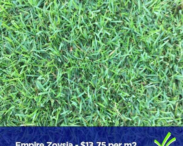 lawn-grass-supplier-brisbane