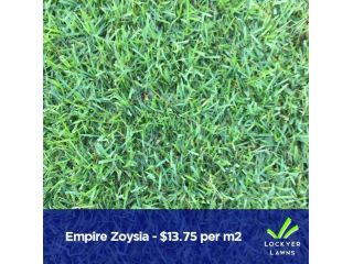 lawn-grass-supplier-brisbane-small-0