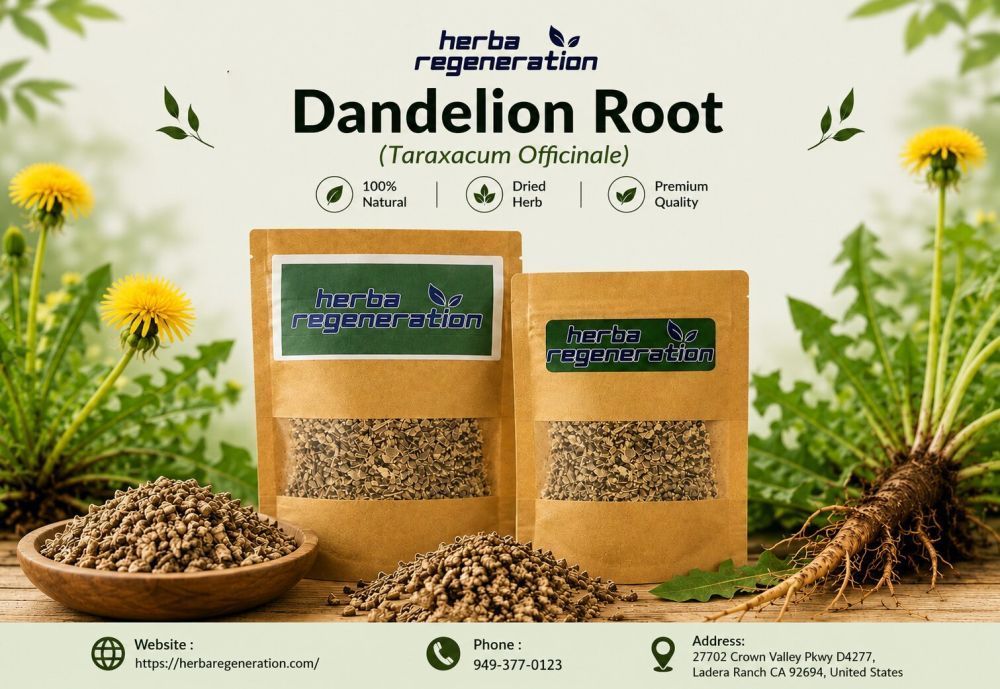 dandelion-root-tea-benefits-uses-wellness-guide-big-0