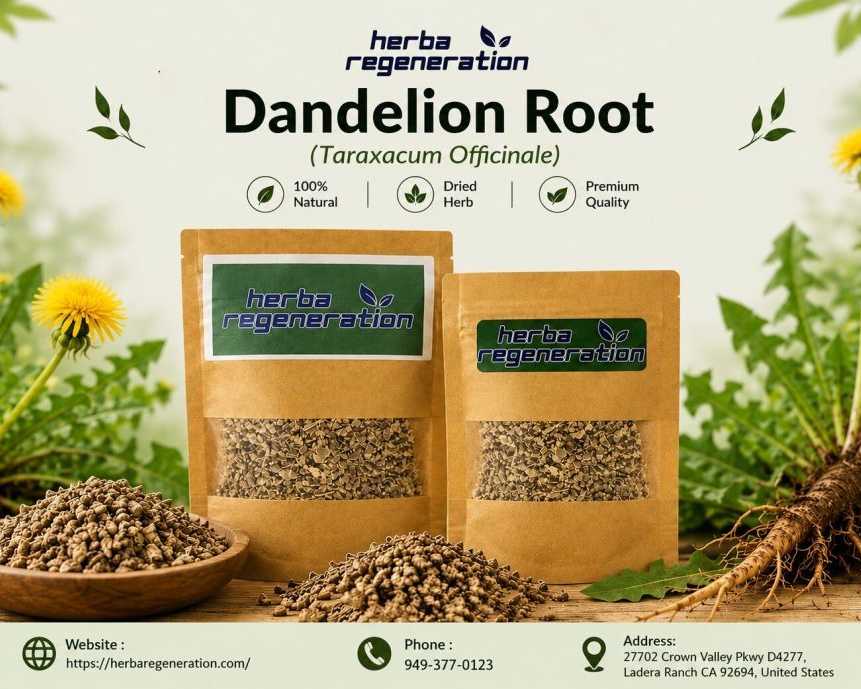 dandelion-root-tea-benefits-uses-wellness-guide
