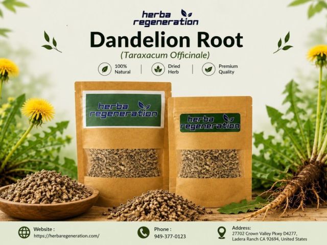 dandelion-root-tea-benefits-uses-wellness-guide