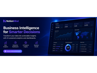 advanced-business-intelligence-services-by-notionmind-small-0