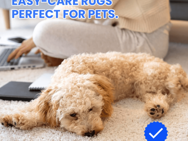 custom-area-rugs-long-island-floored-new-york