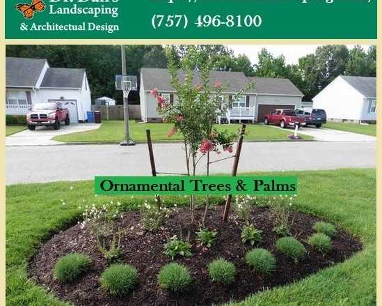 low-cost-landscape-design-installation-services