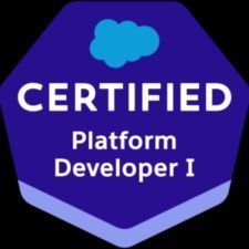 salesforce-pd1-certification-smart-exam-prep-insights-big-0