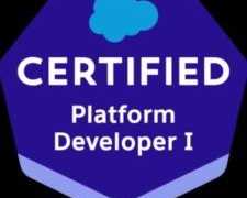 salesforce-pd1-certification-smart-exam-prep-insights