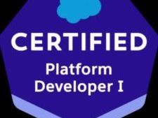 salesforce-pd1-certification-smart-exam-prep-insights