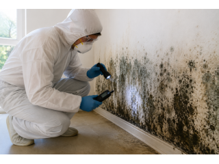 south-florida-mold-inspection-certified-mold-detection-services-small-1