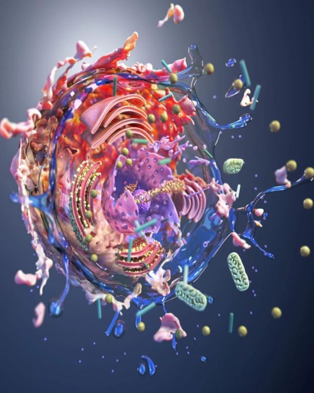 digital-artist-exploring-cellular-structures-big-0