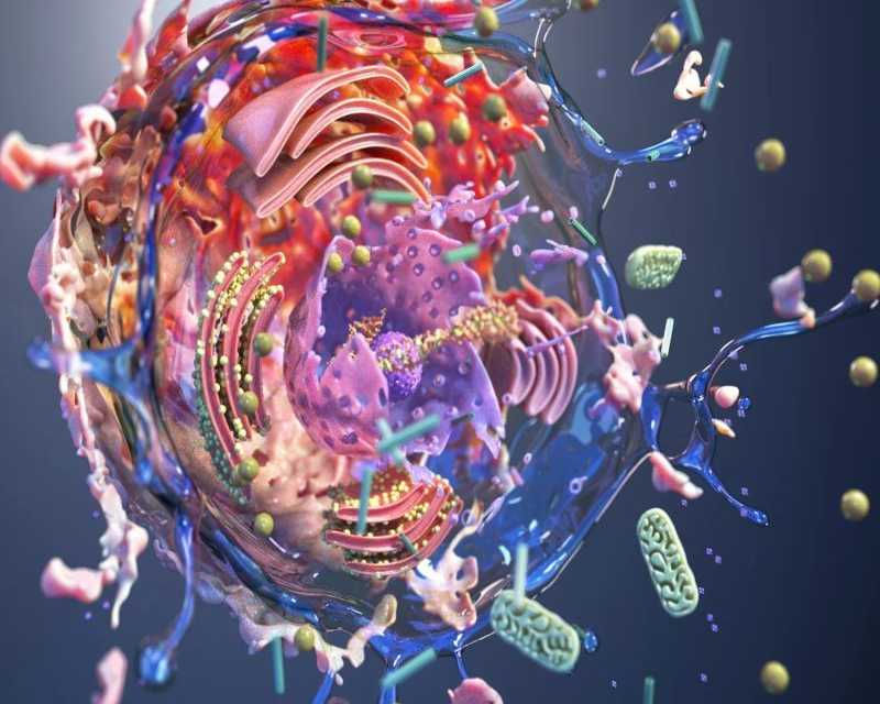 digital-artist-exploring-cellular-structures