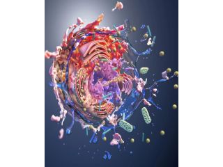 digital-artist-exploring-cellular-structures-small-0