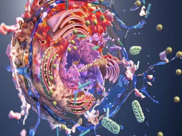 digital-artist-exploring-cellular-structures