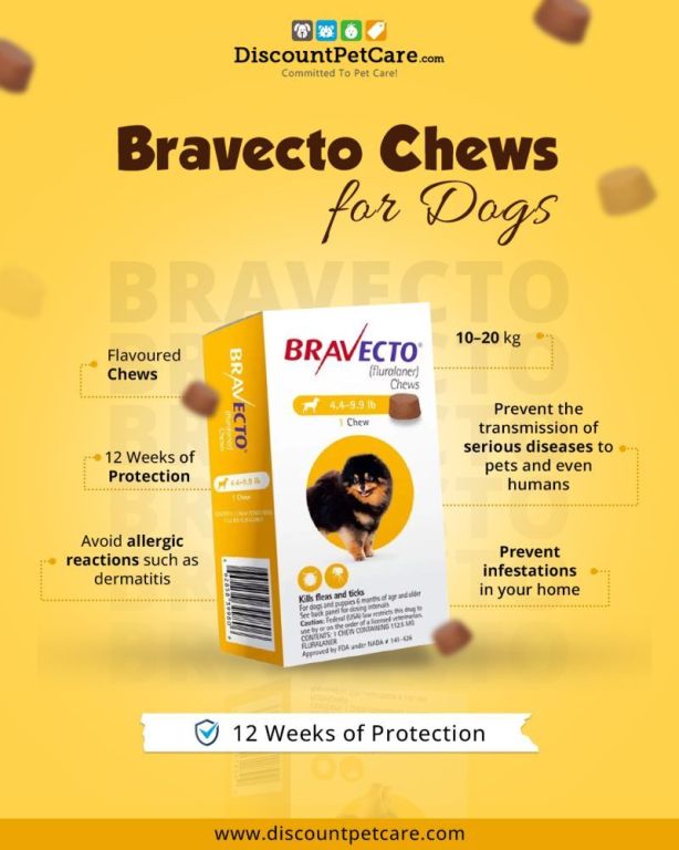 buy-bravecto-for-dogs-online-big-0