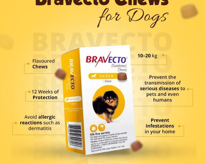 buy-bravecto-for-dogs-online