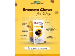 buy-bravecto-for-dogs-online-small-0