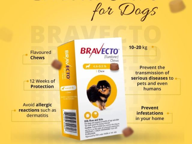 buy-bravecto-for-dogs-online
