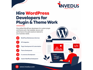 dedicated-wordpress-developers-for-plugin-theme-projects-small-0