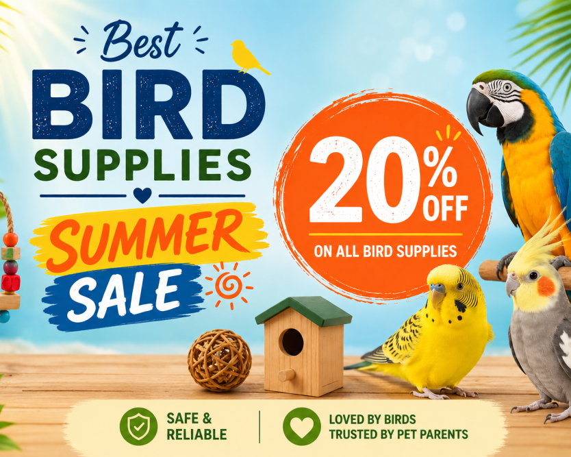 best-bird-supplies-summer-sale-20-off-at-budgetpetcare