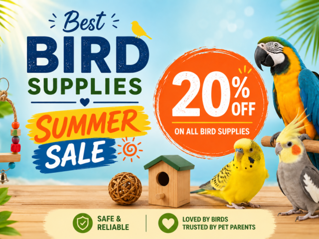 best-bird-supplies-summer-sale-20-off-at-budgetpetcare