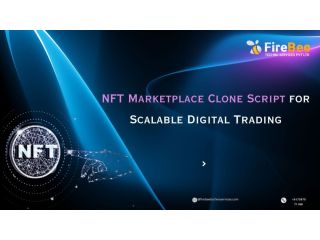 nft-marketplace-clone-script-for-scalable-digital-trading-small-0