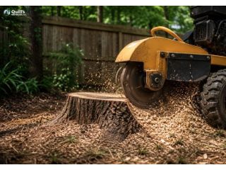 stump-grinding-services-st-augustine-small-0