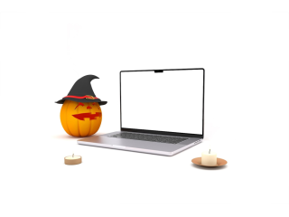 wordpress-white-screen-of-death-causes-small-0