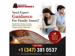 famous-family-problem-solutions-astrologer-in-new-york-ex-back-small-0