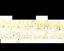 private-corporate-events-in-ozone-park-queens-ny
